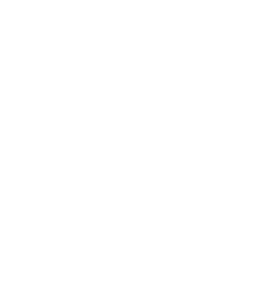 Healthcare-Icon